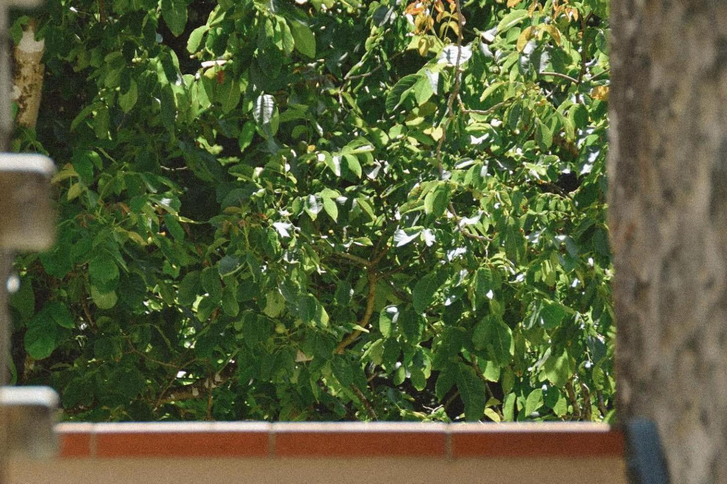 Oasi Lignana Suite Apartments Vellano Dış mekan fotoğraf